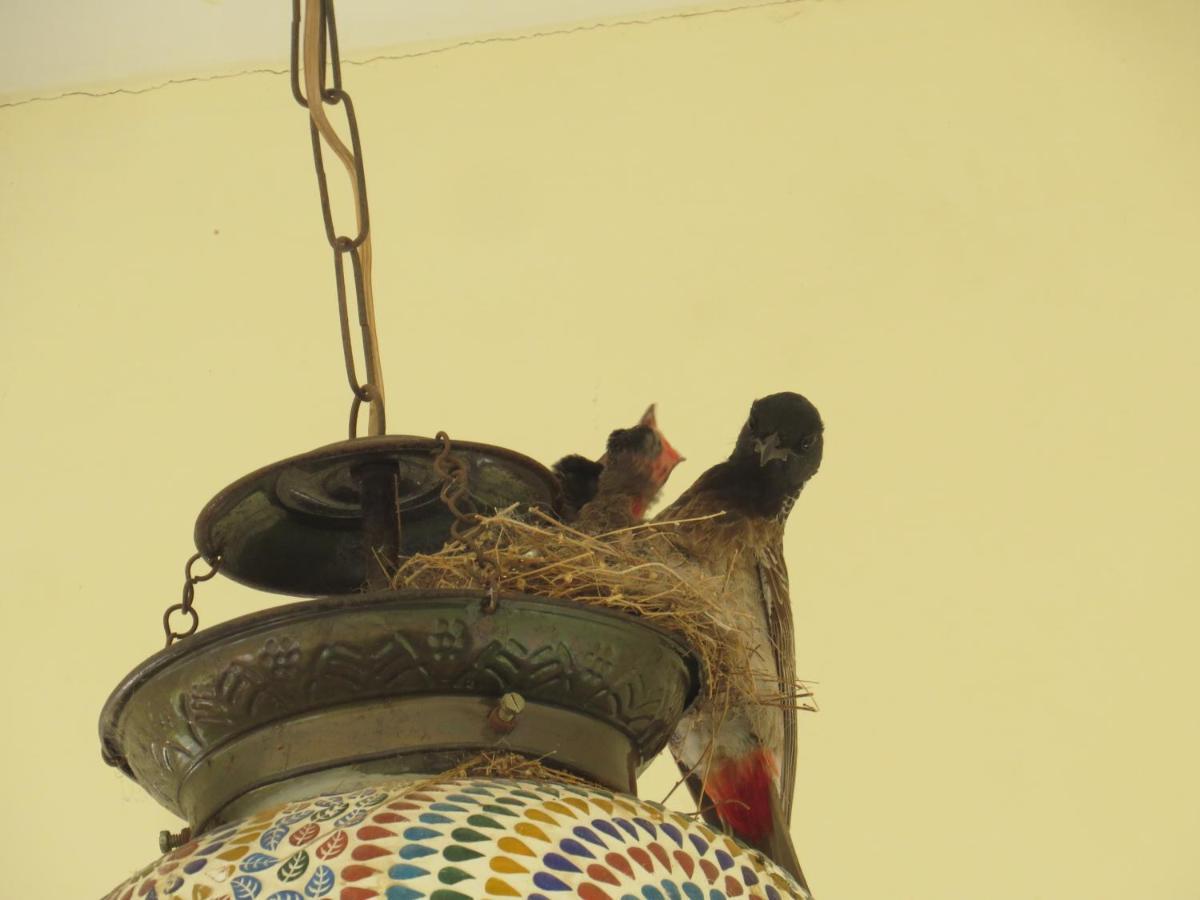 Rajputana Heritage Sawai Madhopur Bagian luar foto